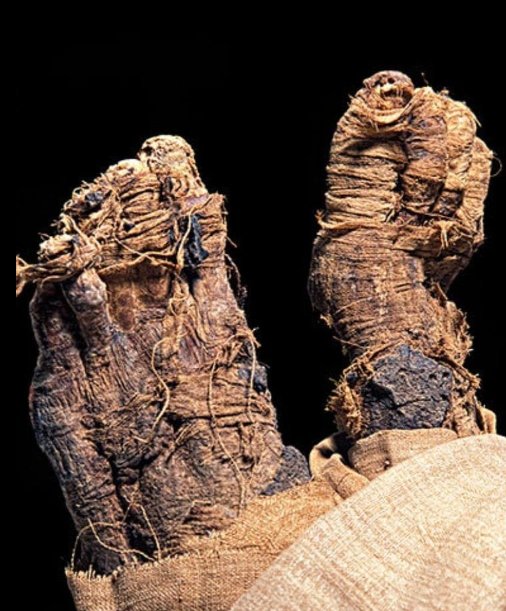 Footsteps Through Eternity: 3,500-Year-Old Mummy Unearthed in Saqqara