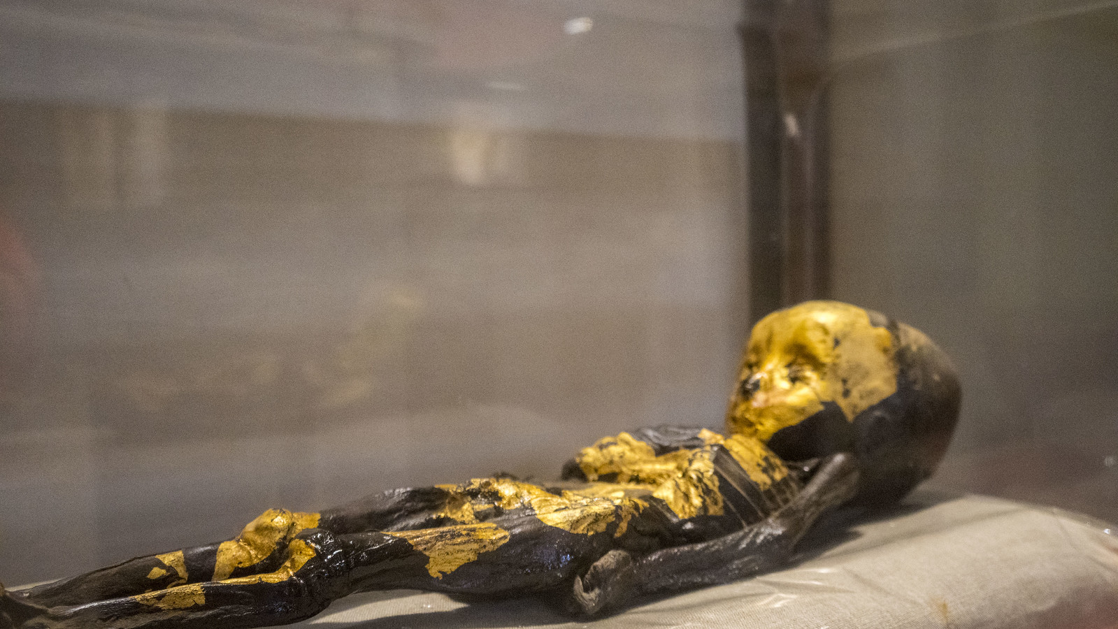 The Golden Baby Mummy: A Masterpiece of Ancient Egyptian Craftsmanship and Spiritual Belief