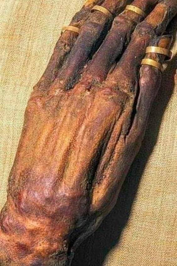 Yuya’s Mummified Hand: A Testament to Ancient Egyptian Embalming Mastery