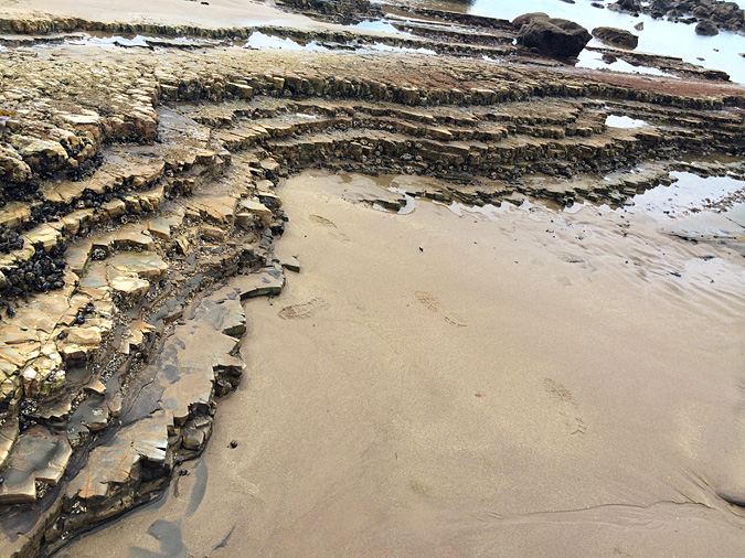 Abalone Cove Shoreline Park: A Geological Time Capsule