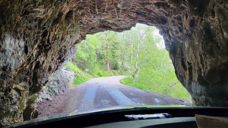 Discover the Natural Beauty and Rich History of Custer State Park, South  Dakota" - Mainstream Adventures