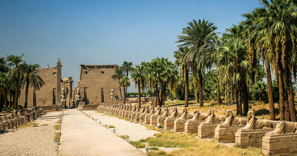 Uncovering the Wonders of the Avenue of the Sphinxes in Luxor, Egypt