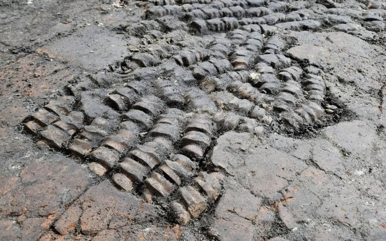 Unveiling the 15th-Century Bone Floor in Alkmaar, Netherlands