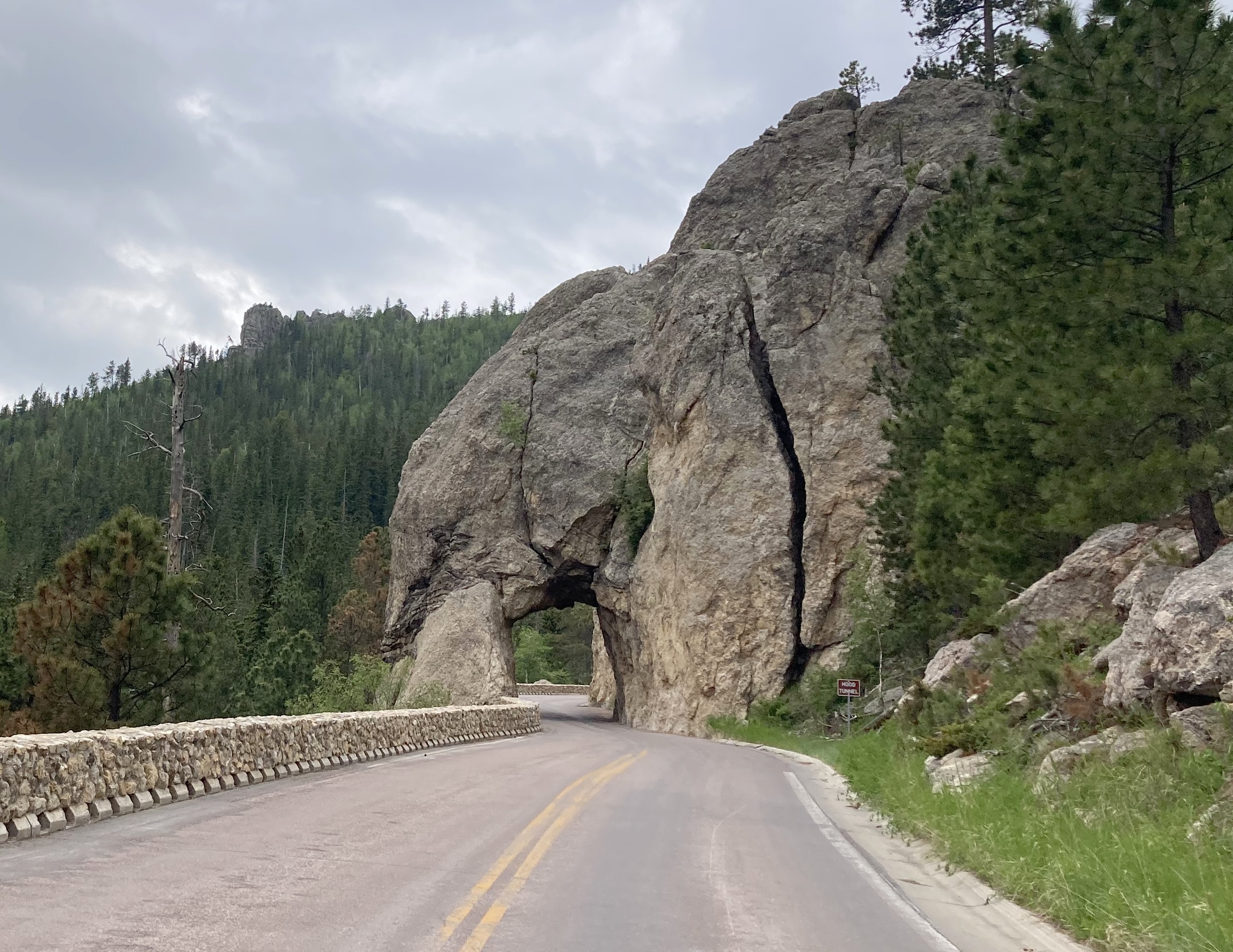 Discovering the Natural and Historical Treasures of Custer State Park