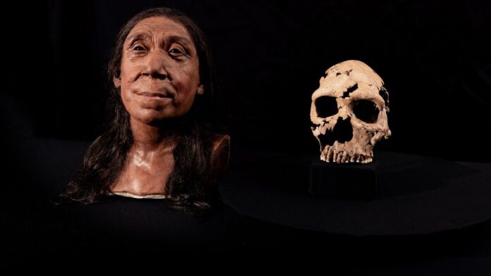 Uncovering the Face of a 75,000-Year-Old Neanderthal Woman: A Revolutionary Insight into Our Ancient Past