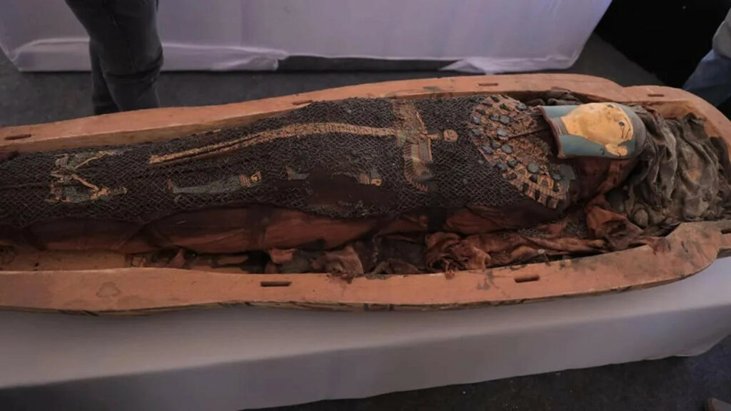 Ancient Egyptian Mummy’s Coffin Lid: A Glimpse into History