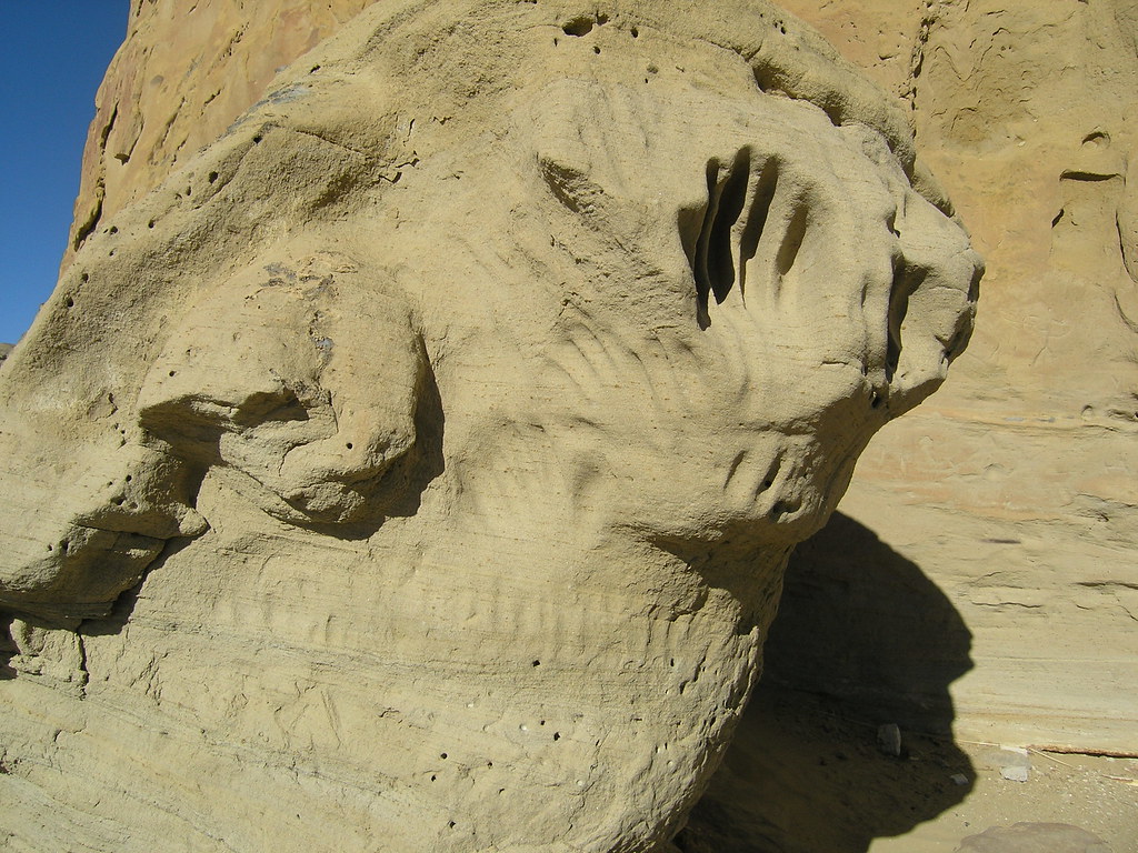 White Mountain Petroglyphs 6 - Rock Springs Field Office | Flickr