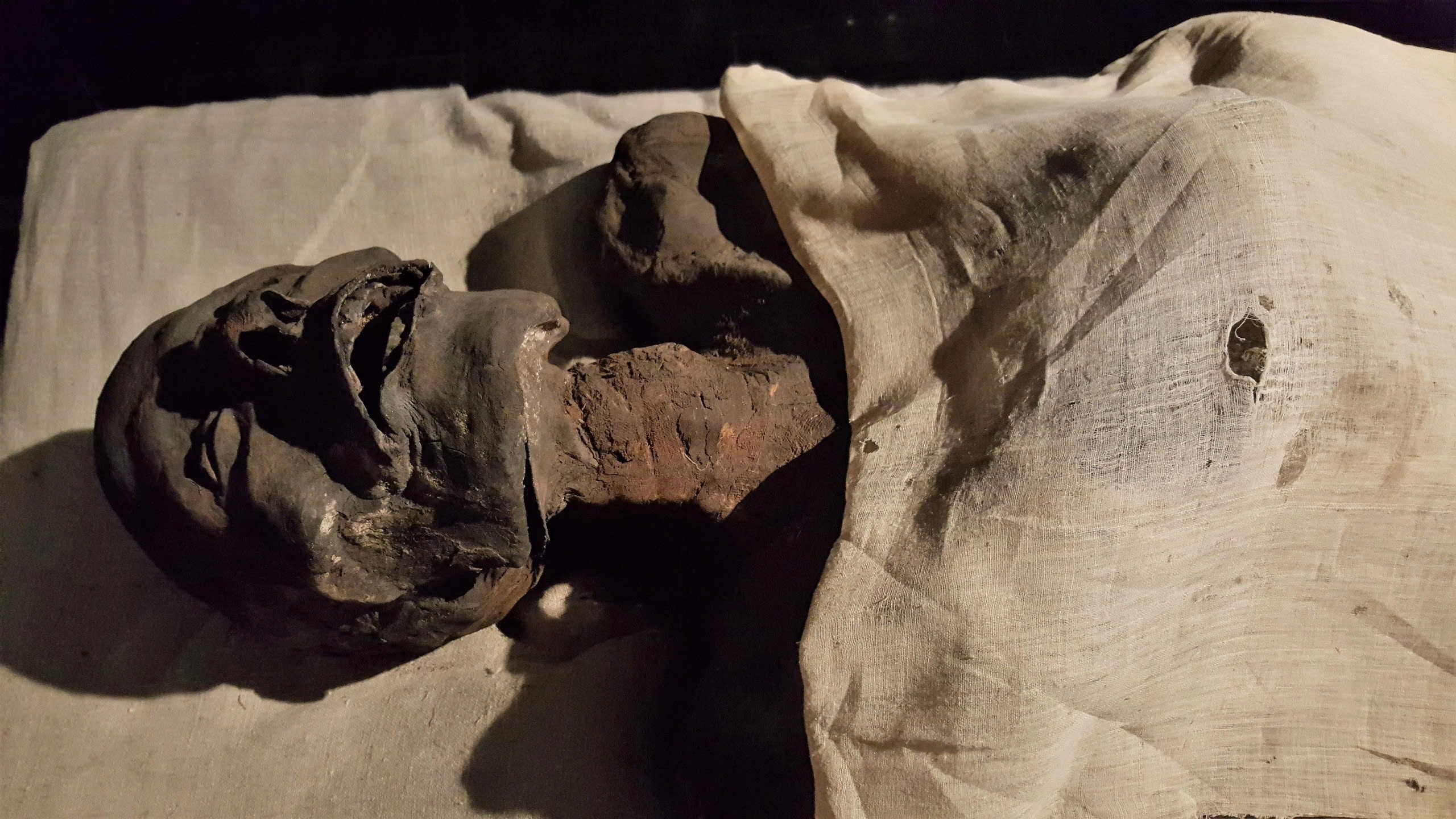 The Extraordinary Journey of Ramesses I’s Mummy