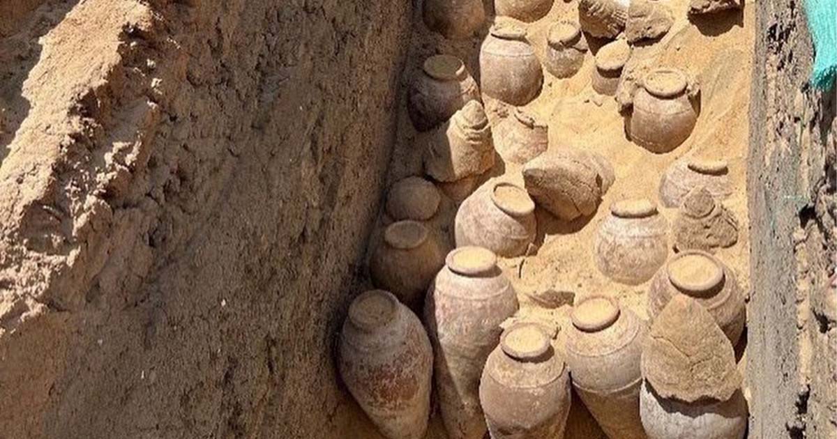 5,000-Year-Old Wine Jars Discovered in the Tomb of Queen Merneith