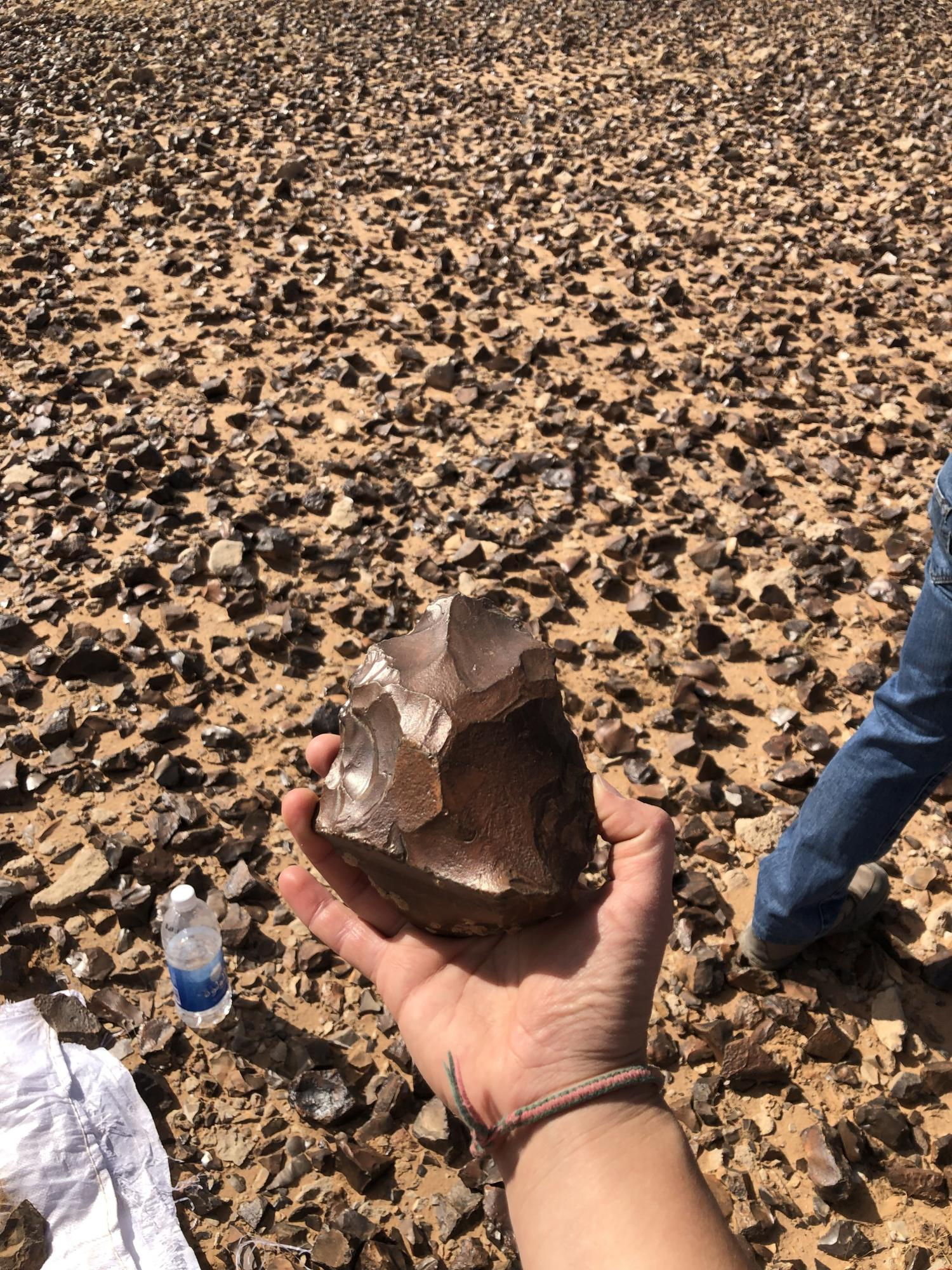 Archaeologists Unearth Ancient Hand Axes and Paleolithic Sites in Iraq’s Western Desert