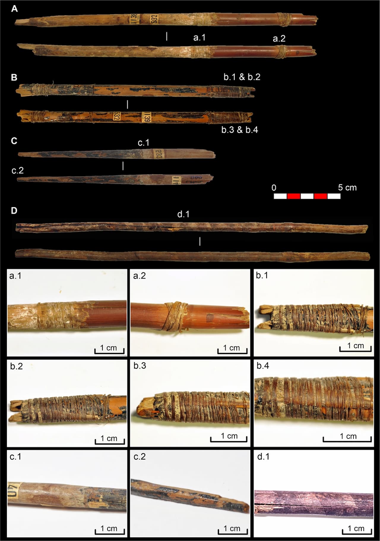 The Oldest Bowstrings in Europe, 7,000 Years Old, Found in a Cave in  Granada, Spain