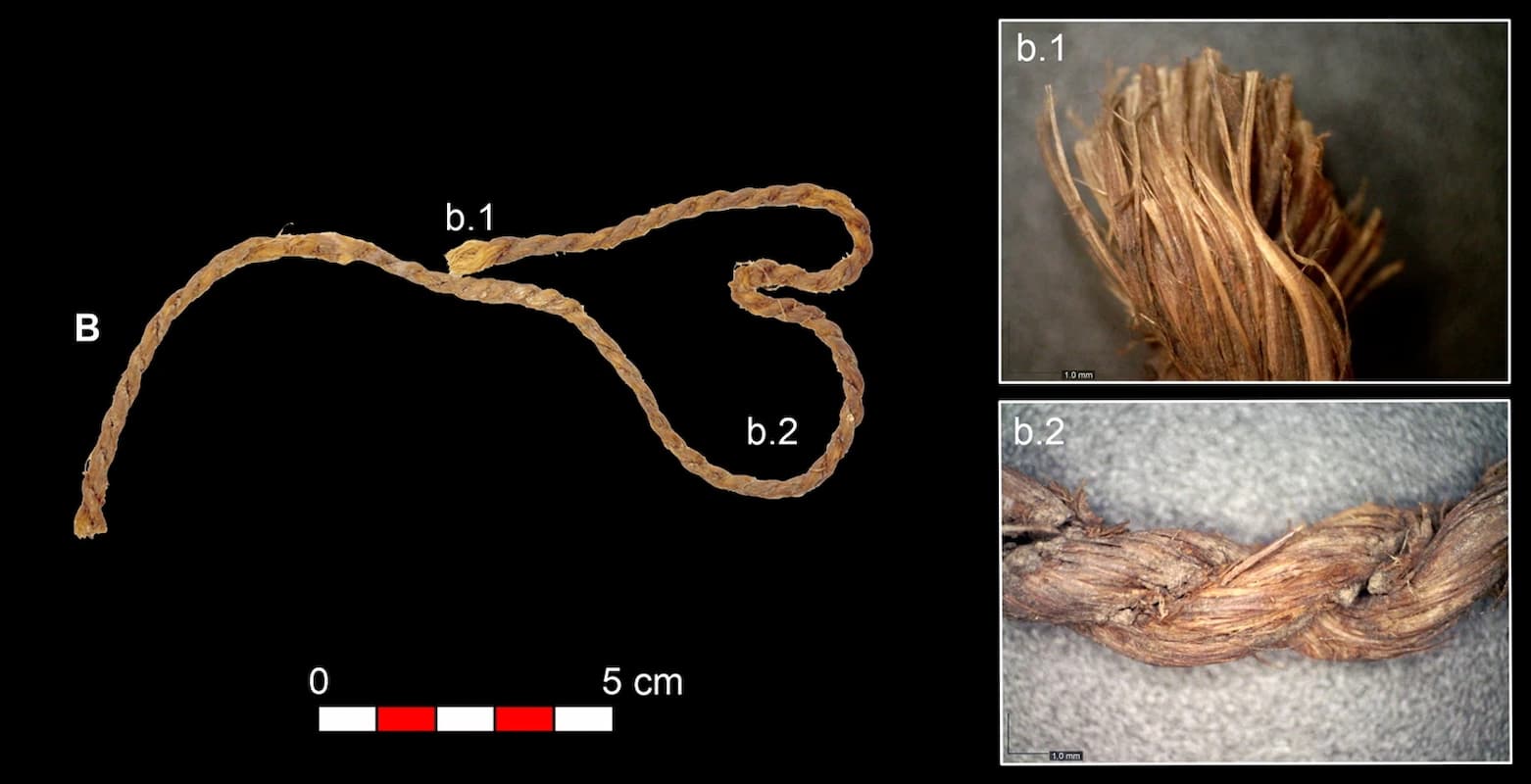 Ancient Bowstrings Rewrite the Story of Stone Age Hunting