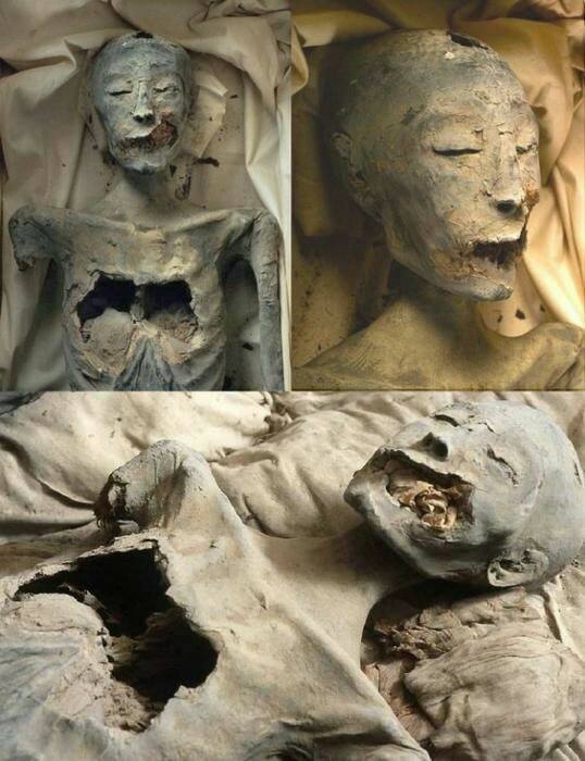 Younger lady found in KV35. DNA proves she is the Mother of King Tutankhamun,  but does not give us a hint of who she is : r/OutoftheTombs