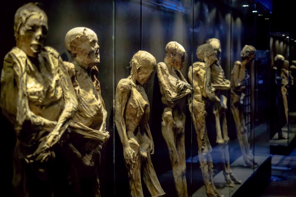 The Mummies of Guanajuato: When Death Becomes a Living Part of History