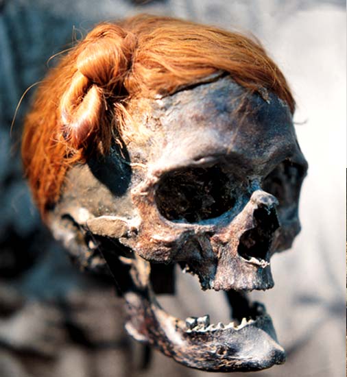 NOVA | The Perfect Corpse | Bog Bodies of the Iron Age image 9 | PBS