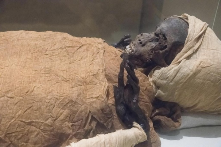 Mummy Reveals Pharaoh Executed on the Battlefield